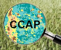 Crop Condition Assessment Program logo